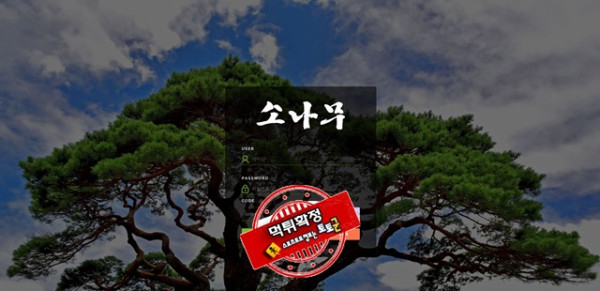 소나무 먹튀 먹튀사이트 확정 먹튀검증 카지노본가 완료