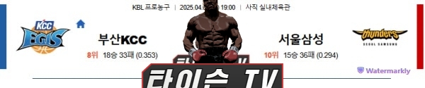 안구정화 그림