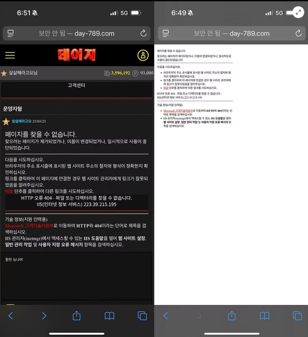 데이지.png