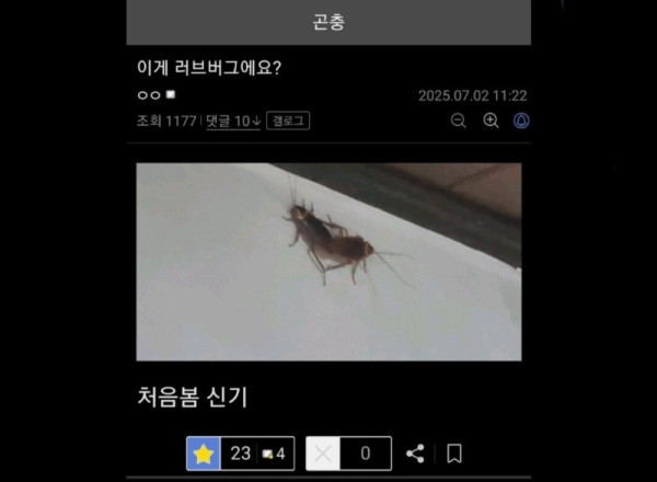 방에서 러브버그를 본 디시인.jpg