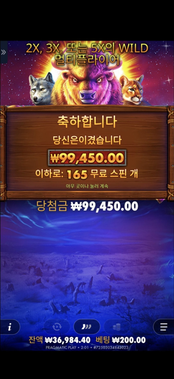 111.jpg