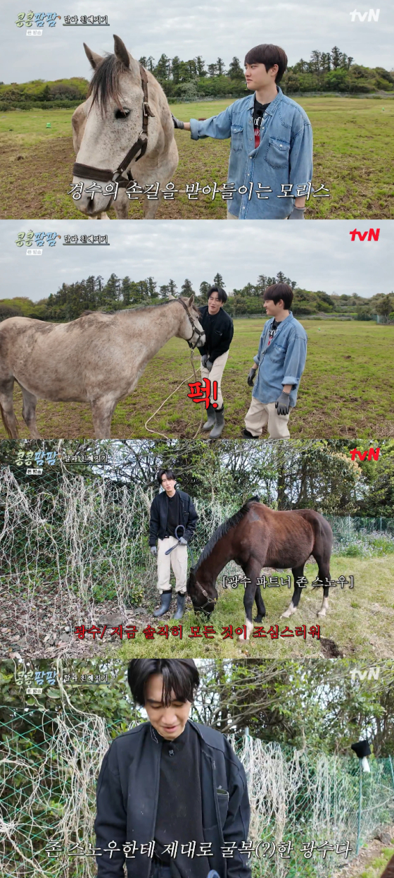 /사진=tvN 예능 프로그램 '콩콩팜팜' 방송화면