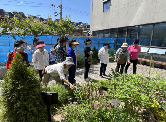 ‘추억정원 그린케어’ 2년차 프로그램 참여자들이 정원에서 식물을 살피고 가꾸고 있다./사진제공=숲생태지도자협회