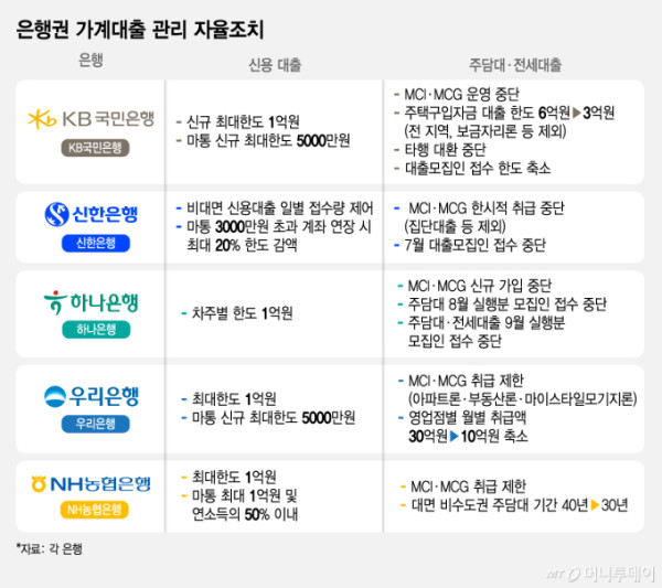 은행권 가계대출 관리 자율조치. /그래픽=김지영 기자