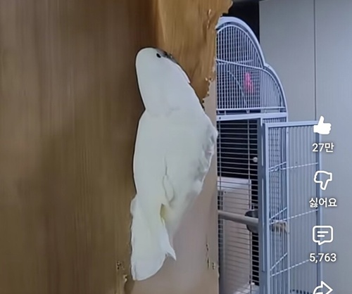 행복하게 사는 법!