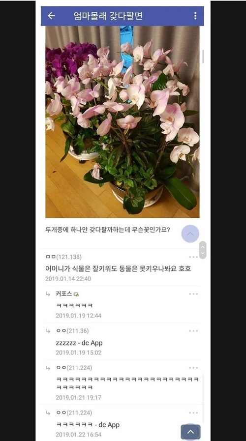혼날껀데~