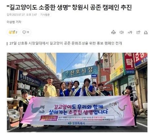 고양이를 사랑하는 창원시