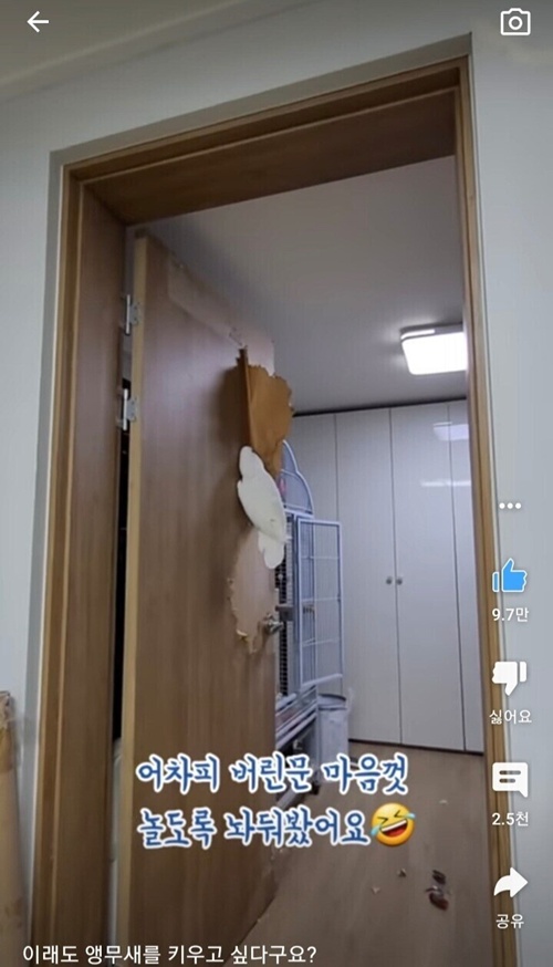 행복하게 사는 법!