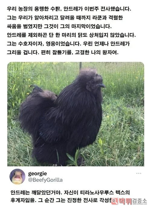 범상치가 않네