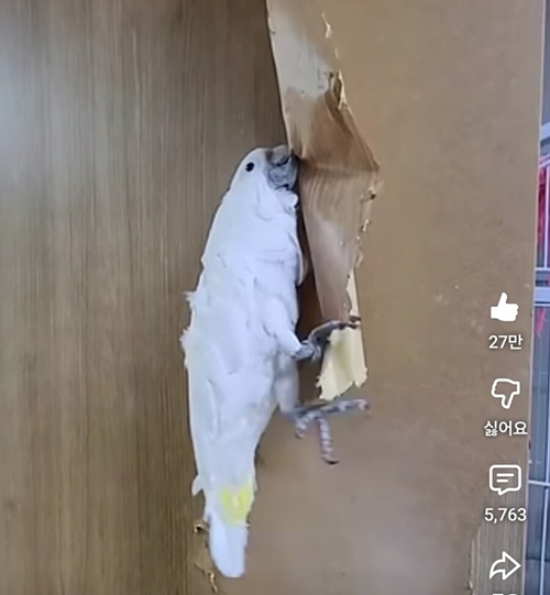 행복하게 사는 법!