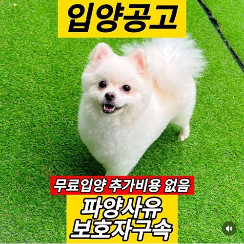 이건 어쩔 수 없네!