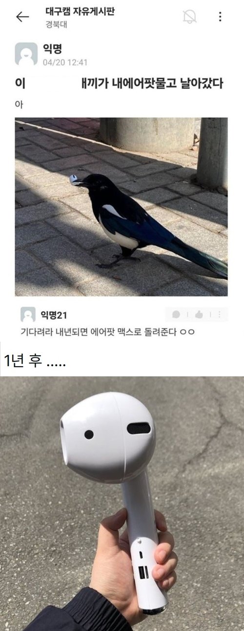 은혜 갚은 까치