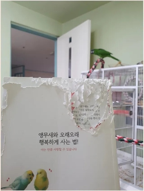 행복하게 사는 법!