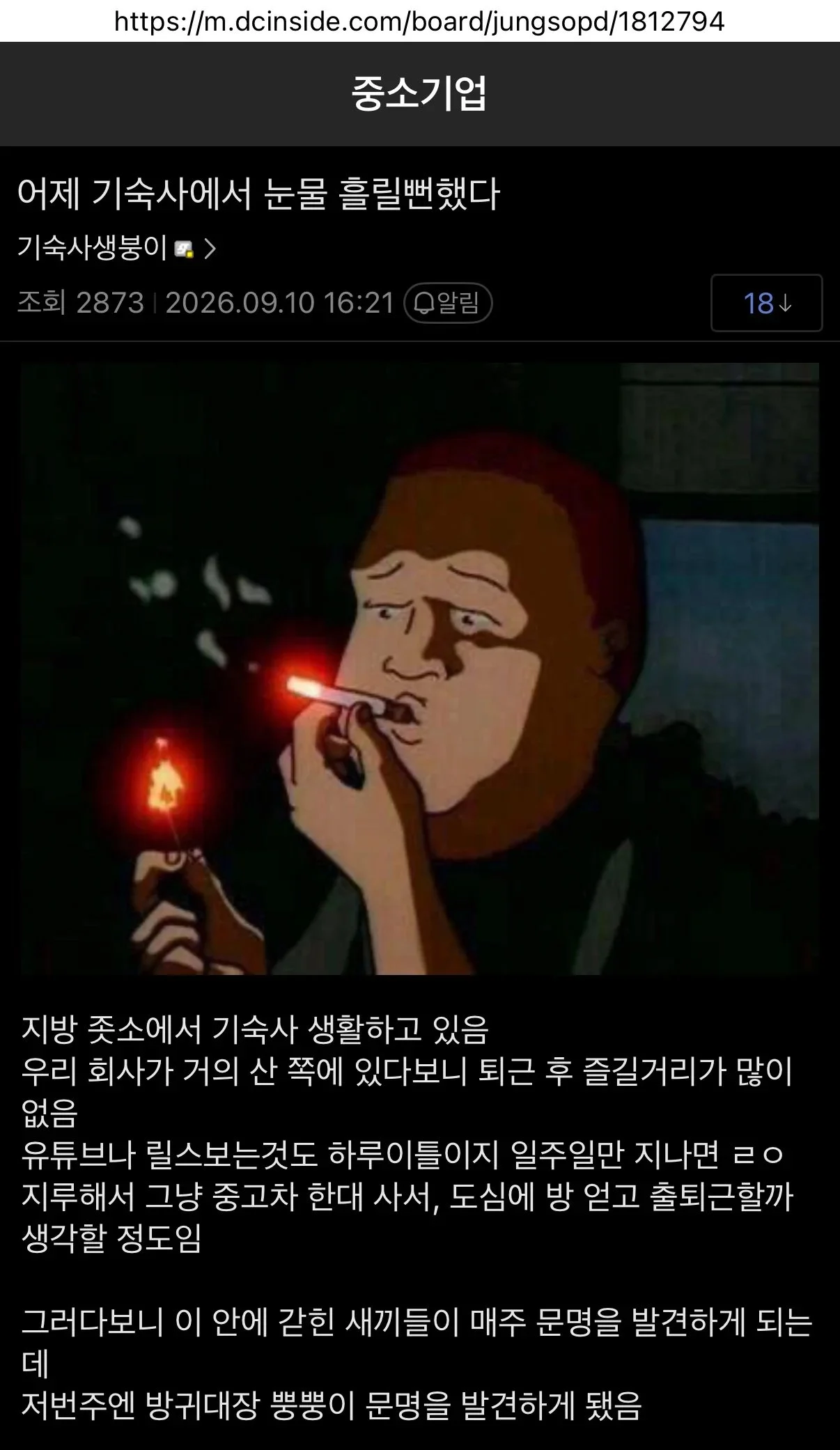 cc84f5f3ad1cd39b55034fd3daea9568.webp