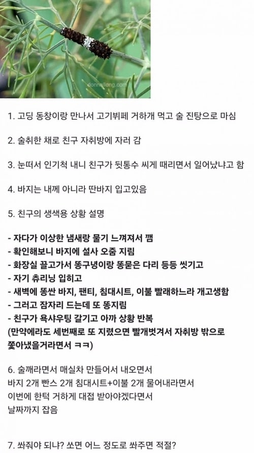 보살이구나 ㅎ
