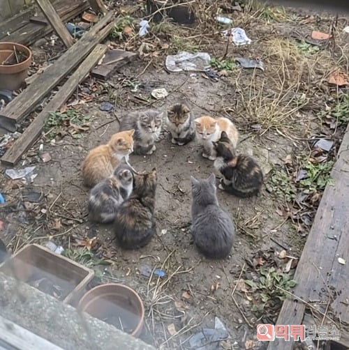 뭐하는건지 아시는분