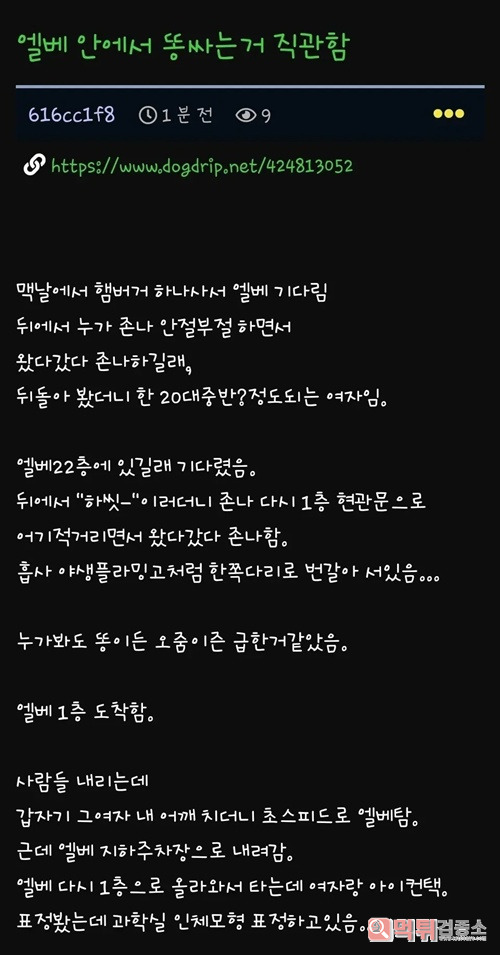보지말아야할것을 봐버렸다 보지말아야할것을 봐버렸다