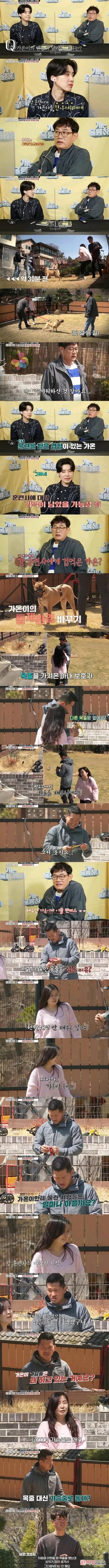 개물림 사고 원인  개주인