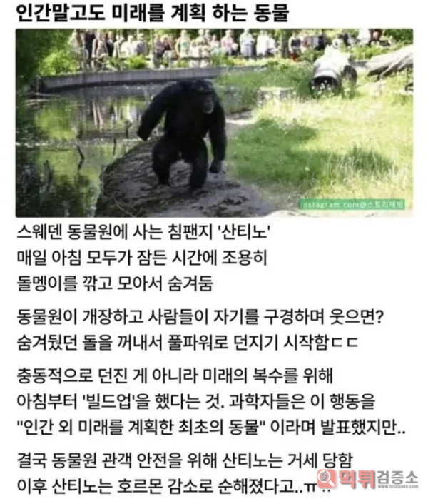 아,,ㄱㅈ라니