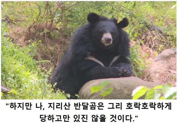 1413432.png.jpg